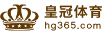 Logo fh凤凰